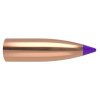 Nosler E-Tip 6mm 55gr BT45170 .243 100stk Projektil