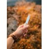 Martiini Handy Kniv Vokset Birk, Rustfrit Stl