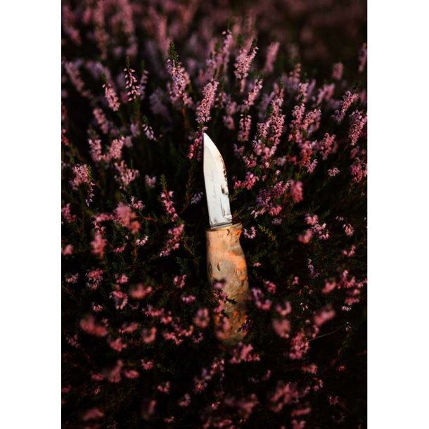 Martiini Handy Kniv Vokset Birk, Rustfrit Stl