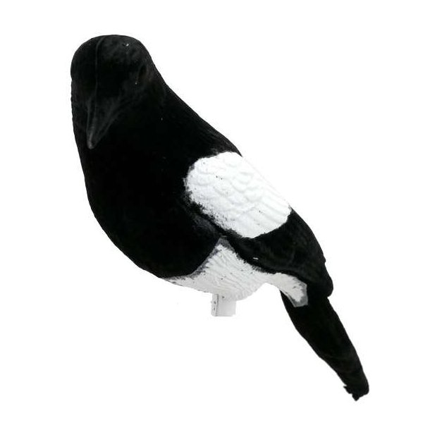 Skade m/Flock Lokkefugl