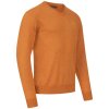 Blaser Merino V-Neck Sweater Rust