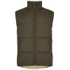 Dubarry Graystown Vest Olive