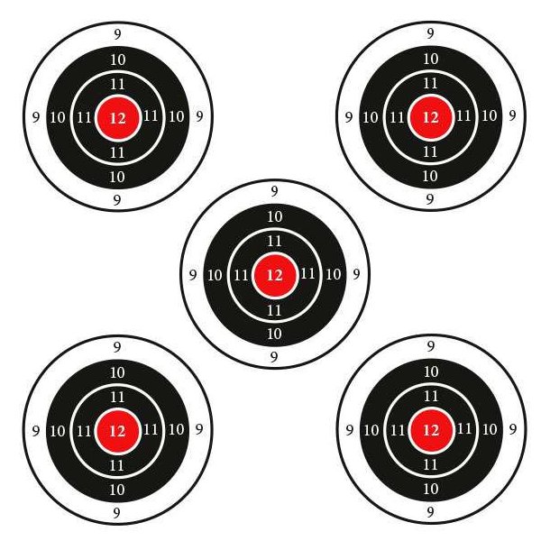 Huntcom Skydeskive 5 sm skiver 50stk