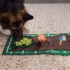 Oh Activity Matz Garden Game