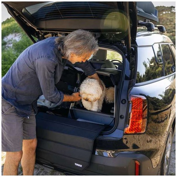 Thule Allax Threshold Compatible Bur Small 72-80x55x58 cm