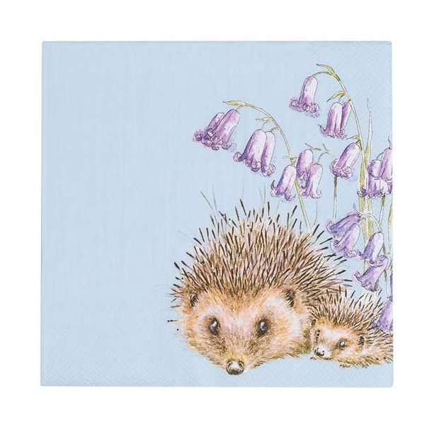Wrendale Servietter Pindsvin Hedgehugs Awakening
