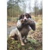 All In One Hare Dummy 1,8kg