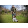 Ben Randall Rabbit Dummy 700g