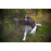 Ben Randall Rabbit Dummy 700g