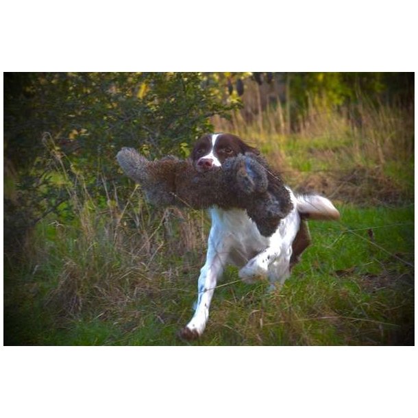 Ben Randall Rabbit Dummy 700g