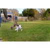 Ben Randall Rabbit Dummy 700g