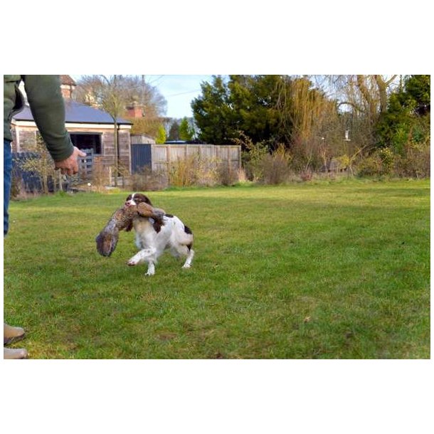 Ben Randall Rabbit Dummy 700g