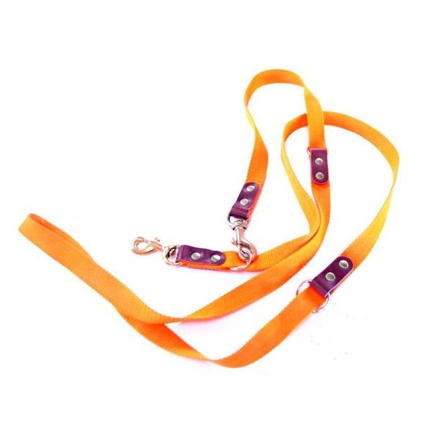 Dressurline Webbing 250cm Orange