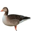 DK Wai Grgs Flock Skaller 12 Pack Lokkefugl
