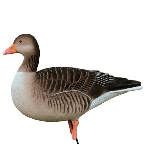 DK Wai Grgs Flock Skaller 12 Pack Lokkefugl