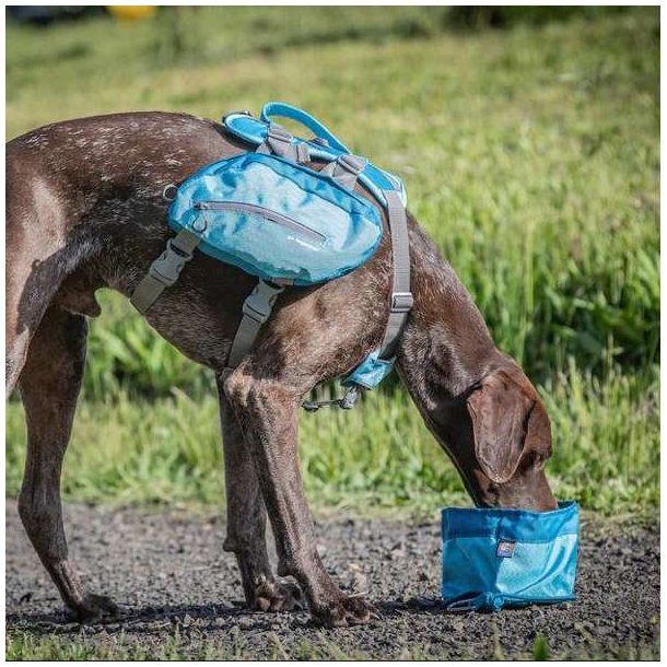Kurgo Zippy Rejseskl Bl 1,4 Liter - Med Lynls