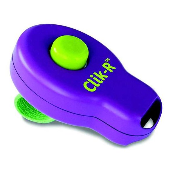 Petsafe Clik-R Traning Tool Lilla/Grn