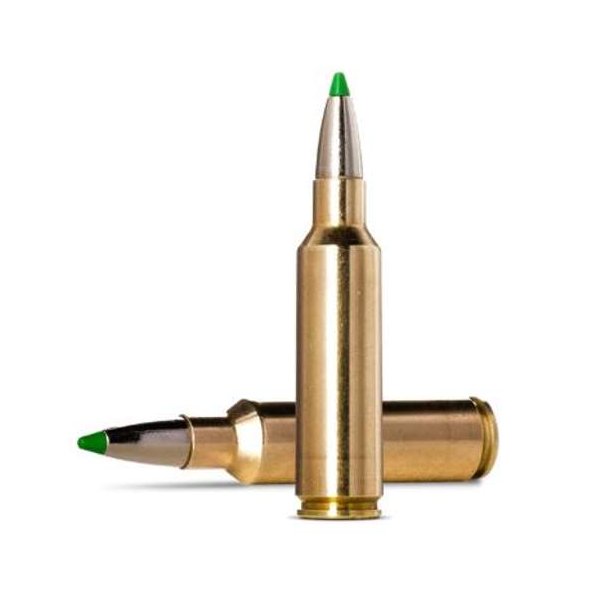 Norma 300WSM 9.7g/150gr Ecostrike 20 stk.