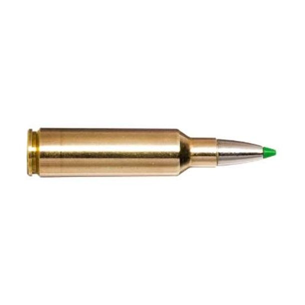 Norma 300WSM 9.7g/150gr Ecostrike 20 stk.