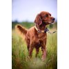 Non-Stop Dogwear Protector Collar Orange str. 45