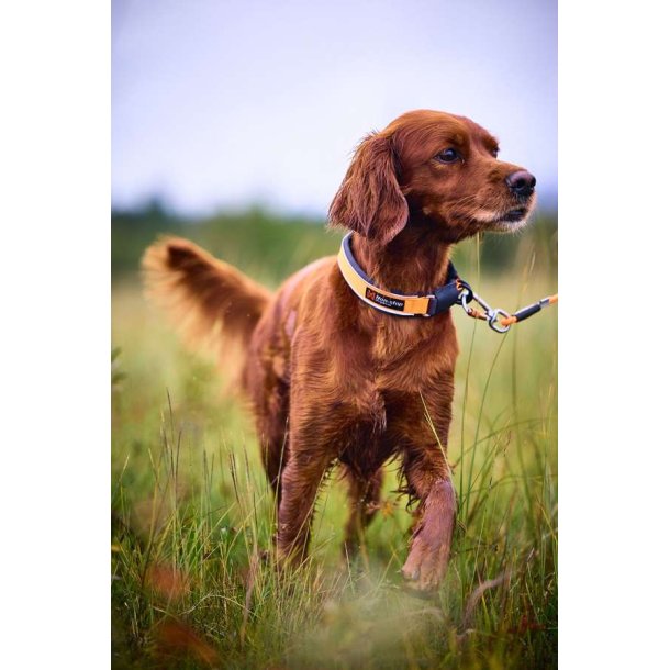 Non-Stop Dogwear Protector Collar Orange str. 45