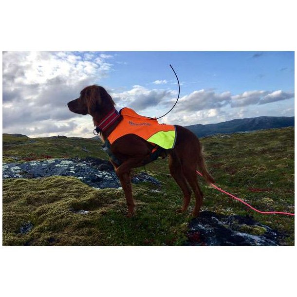 Non-Stop Dogwear Protector Vest, XL Til GPS
