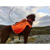 Non-Stop Dogwear Protector Vest, XL Til GPS