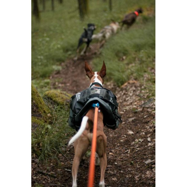 Non-Stop Dogwear Amundsen Pack Black/grey str. XL