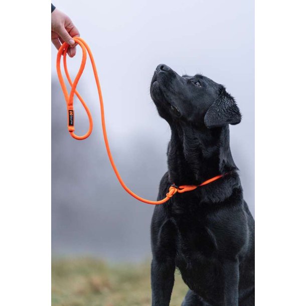 Non-Stop Dogwear Retriver Leash 1.6m/8mm Orange
