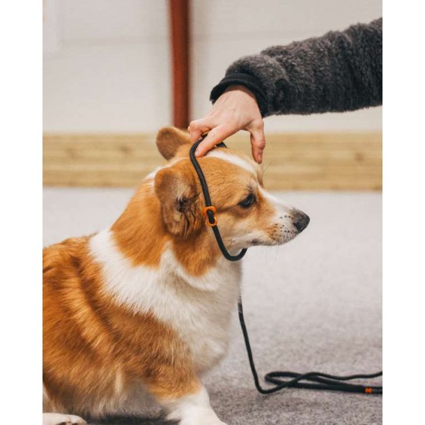 Non-Stop Dogwear Retriver Leash 1.6m/8mm Sort