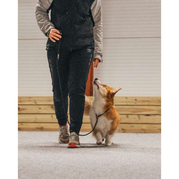 Non-Stop Dogwear Retriver Leash 1.6m/8mm Sort