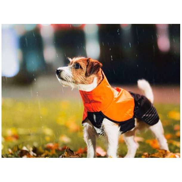 NonStop Dogwear Fjord Raincoat 2.0 Black/Orange Str. 36