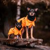 Paikka Recovery Regnfrakke Til Hund Orange, 60
