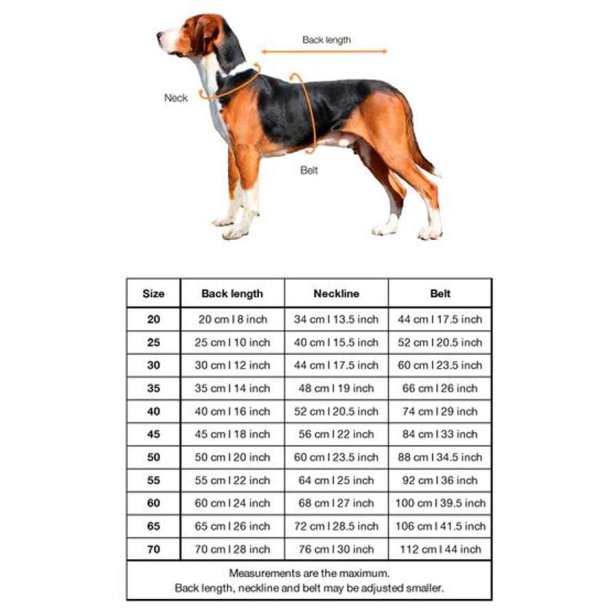 Paikka Hunde Trredragt 2Go Navy 55