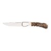 Sauer Stag Horn Foldekniv