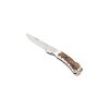 Sauer Stag Horn Foldekniv
