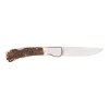 Sauer Stag Horn Foldekniv