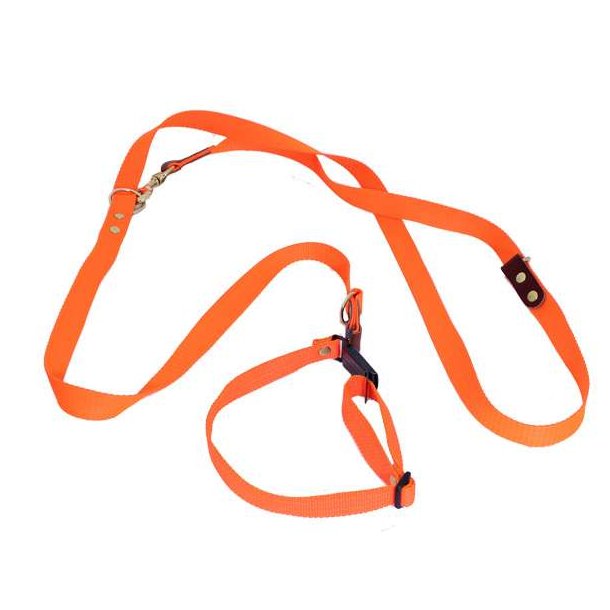 Jagtline Webbing Med Halsrem Og Quickudlser 25mm x 250cm Orange